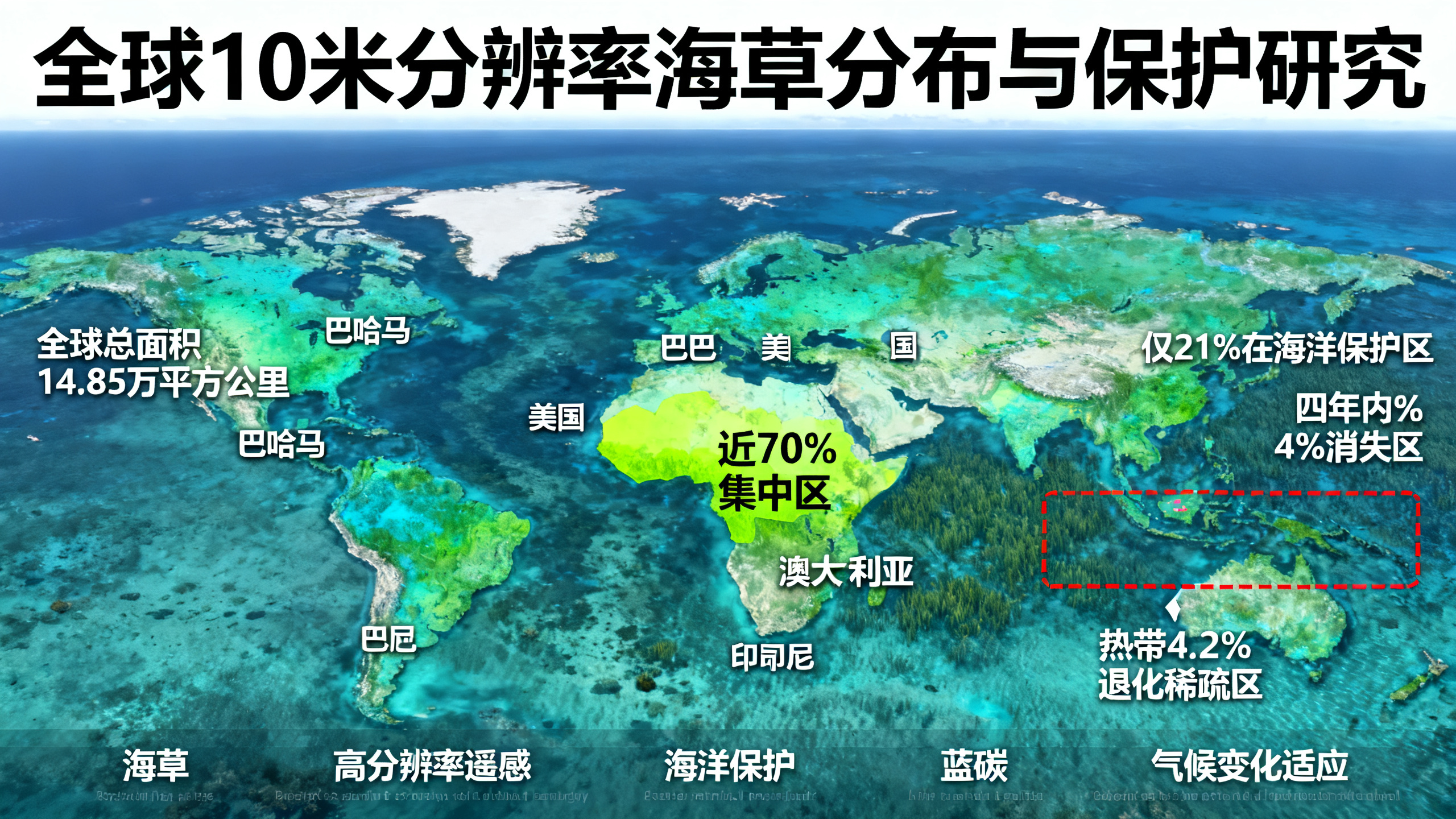 全球海草分布高清地图，助力海洋保护