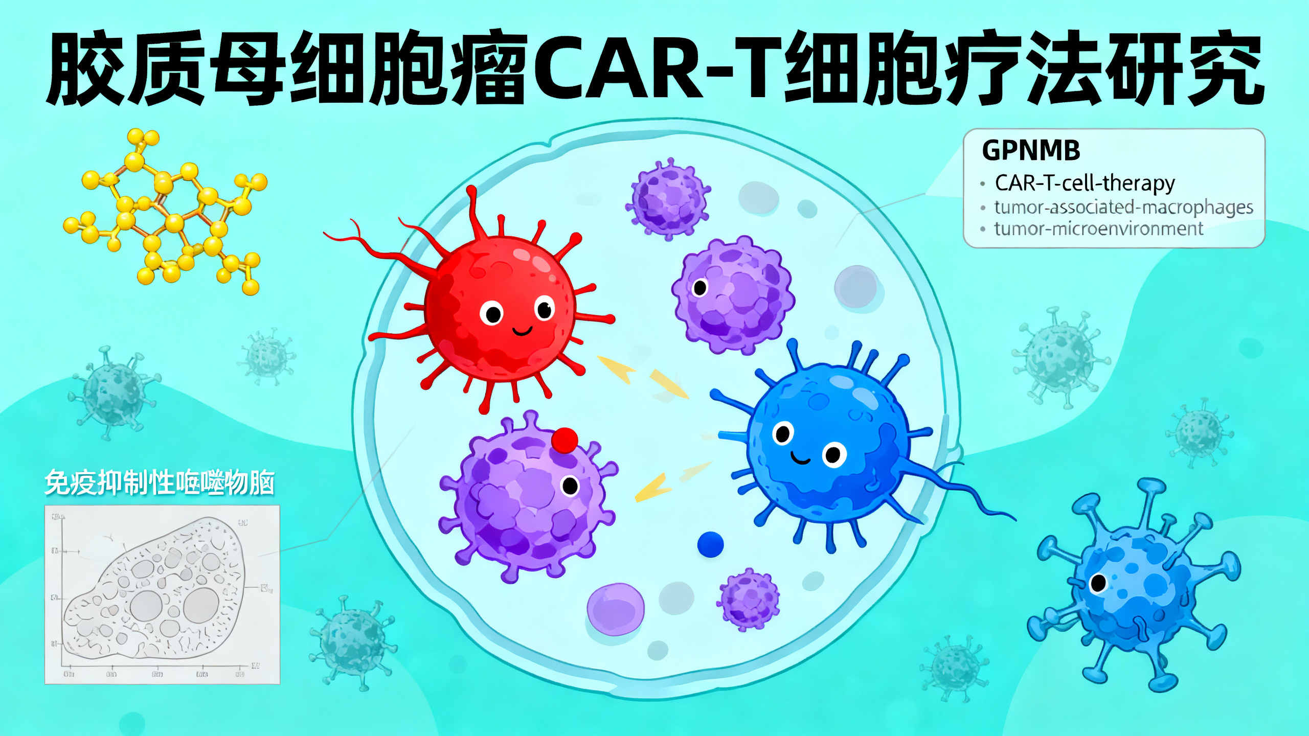 用“双靶向”CAR-T细胞同时攻击胶质母细胞瘤和免疫抑制细胞