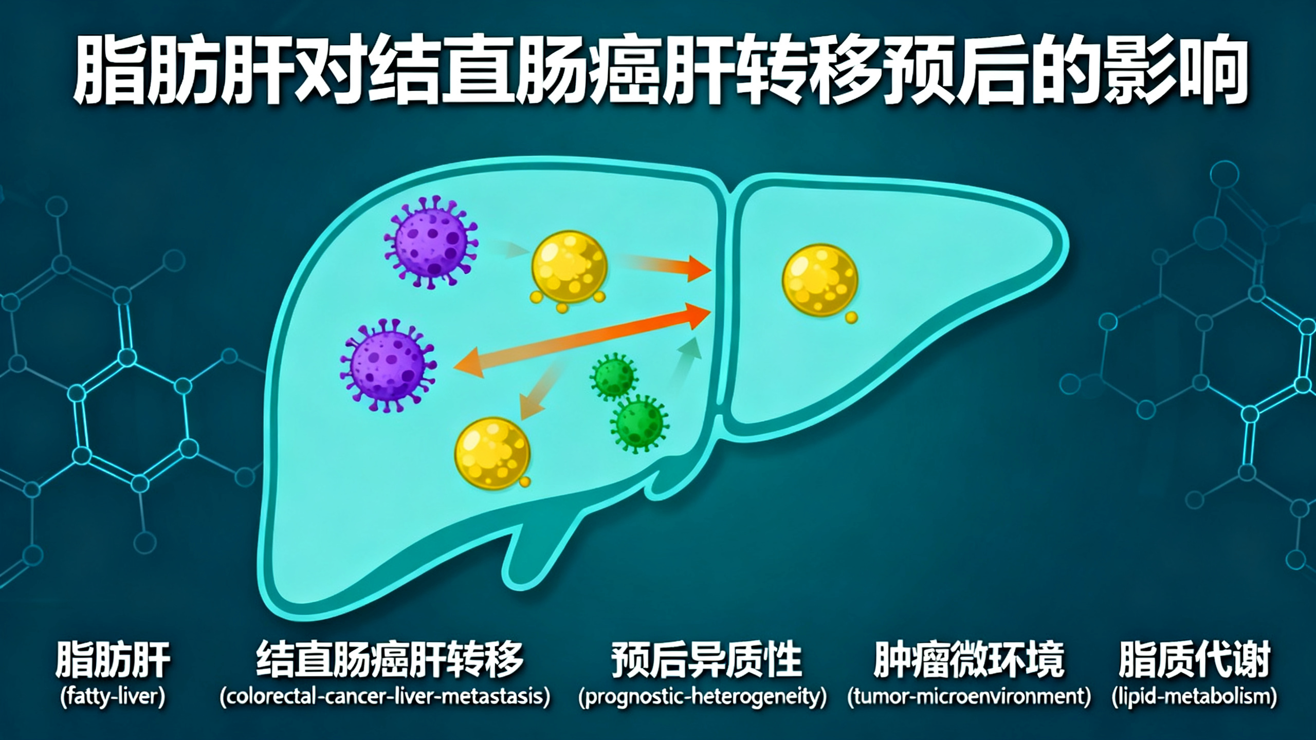 肝脏脂肪影响晚期结直肠癌的病情发展