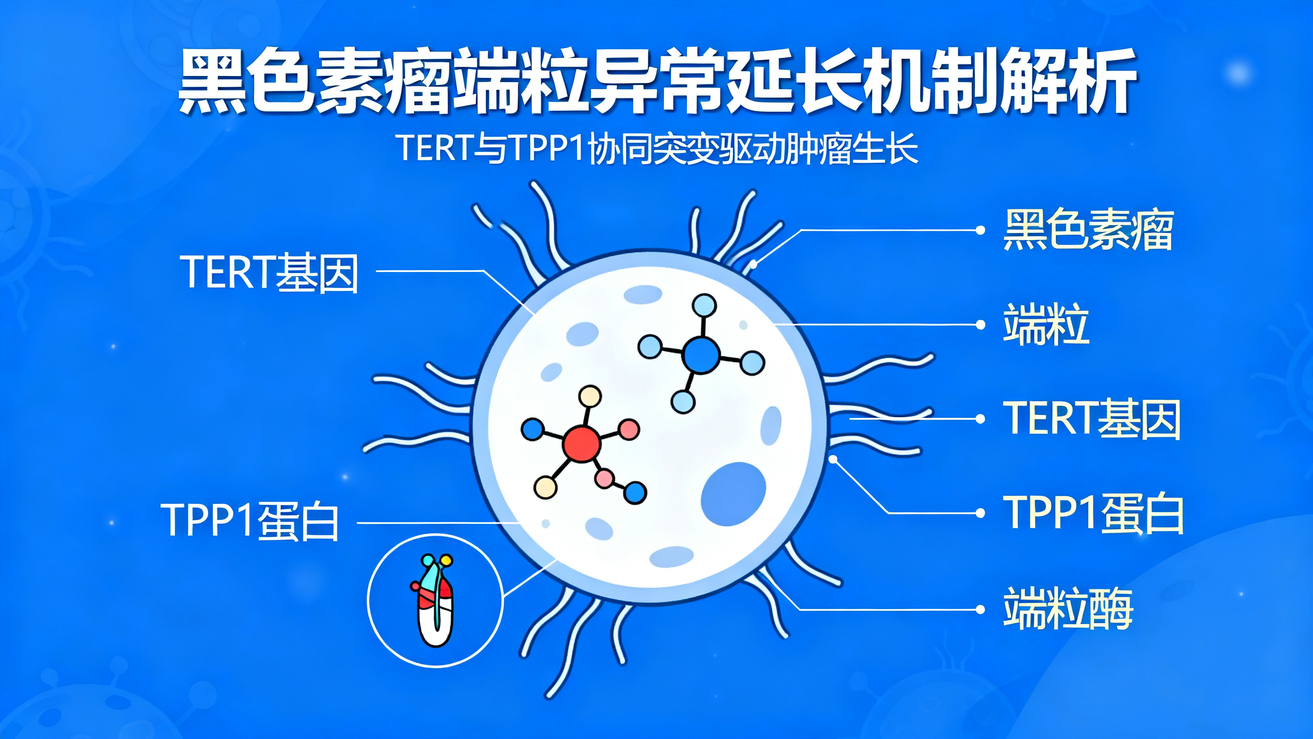 黑色素瘤“逃过死亡”的秘密终于被揭开