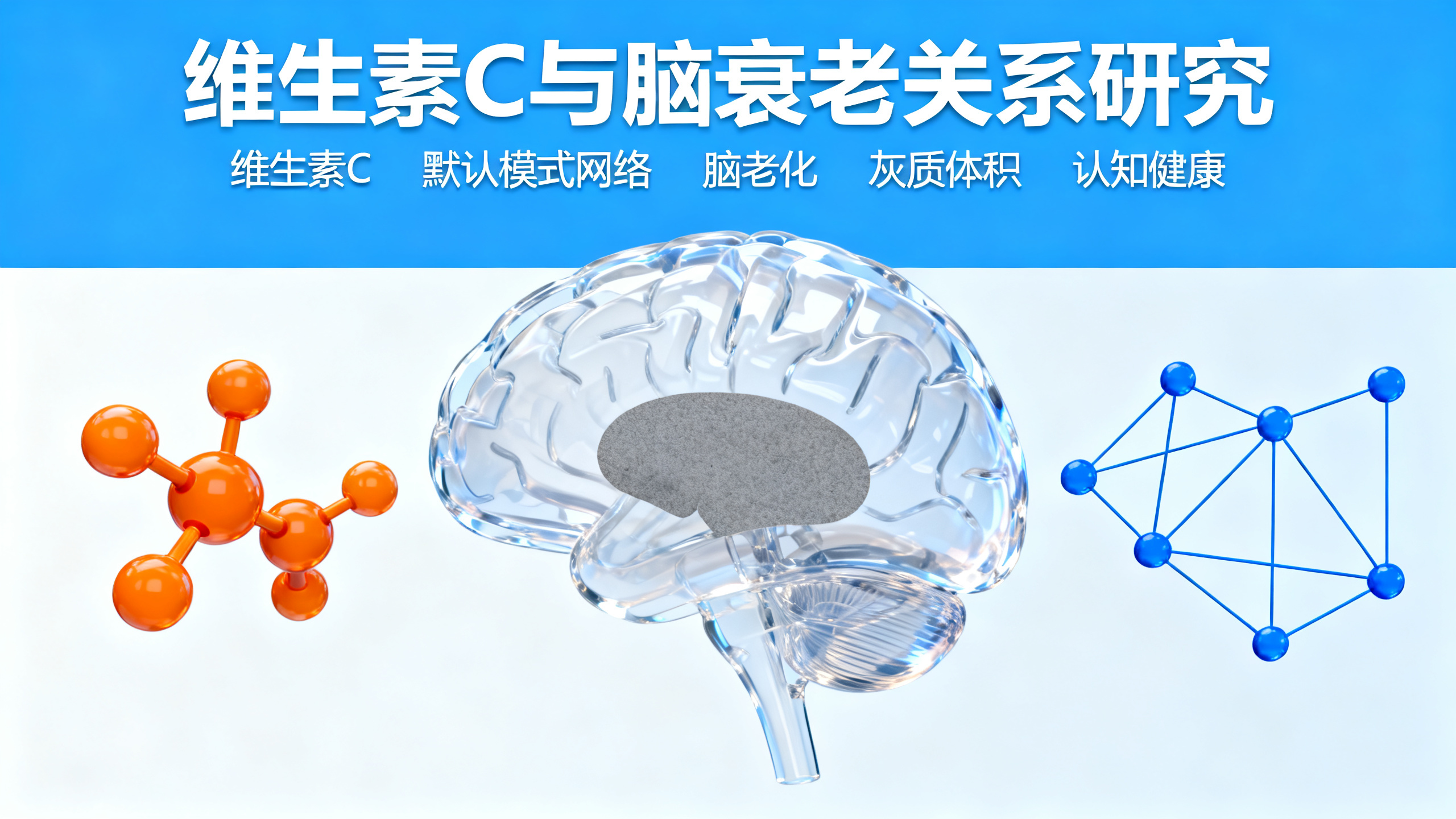 维生素C竟然与大脑健康密切相关