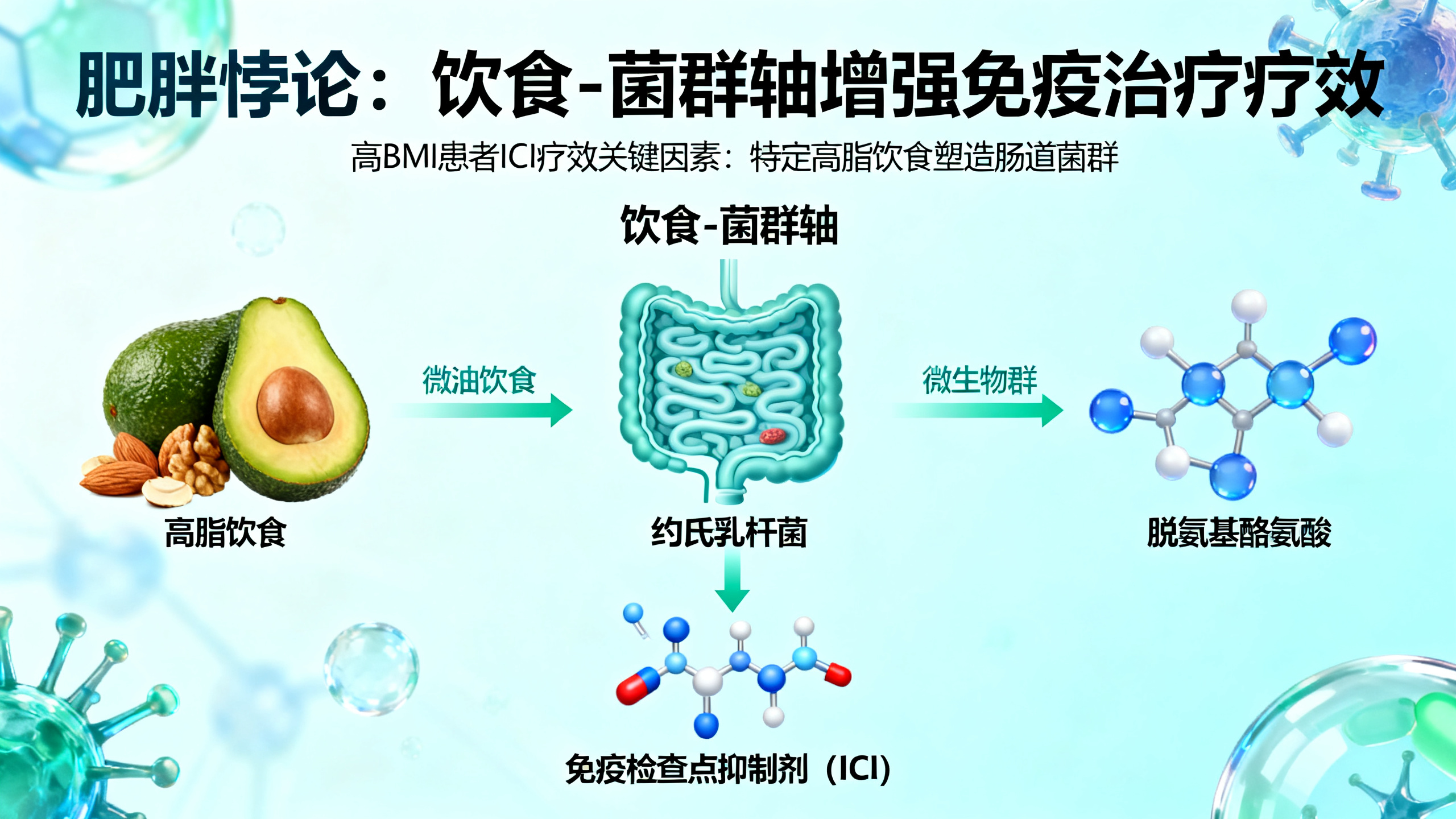 饮食与肠道菌群联手影响减肥治疗效果