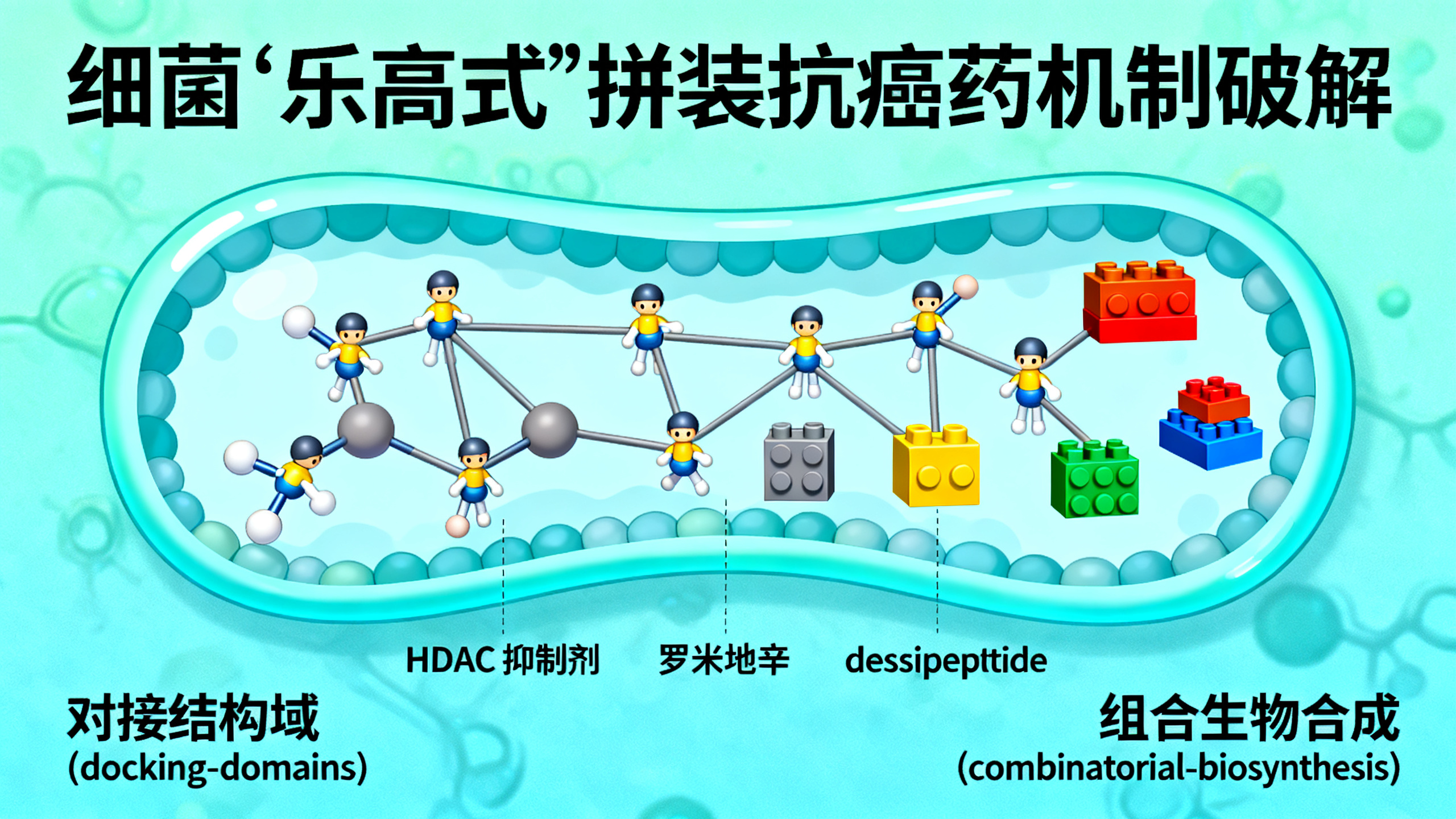 科学家终于揭开大自然的“抗癌药方”
