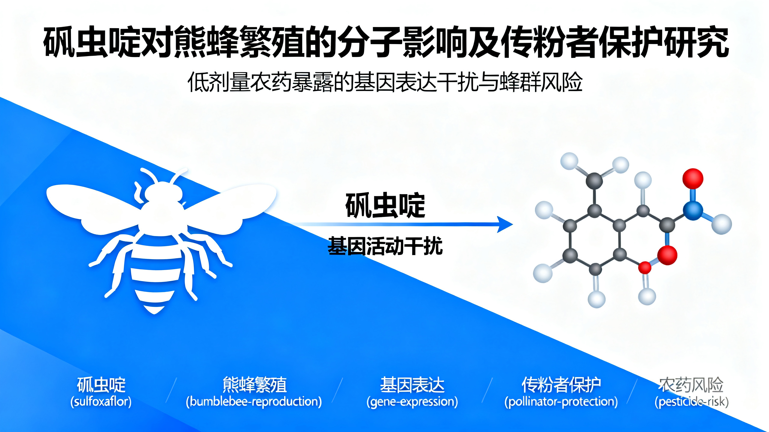 这种常用农药可能正在悄悄扼杀未来的熊蜂