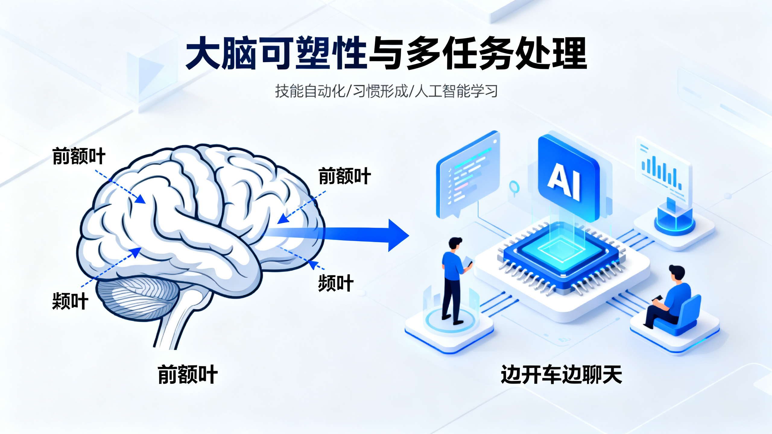 科学家发现大脑如何“重新布线”，真正实现多任务处理