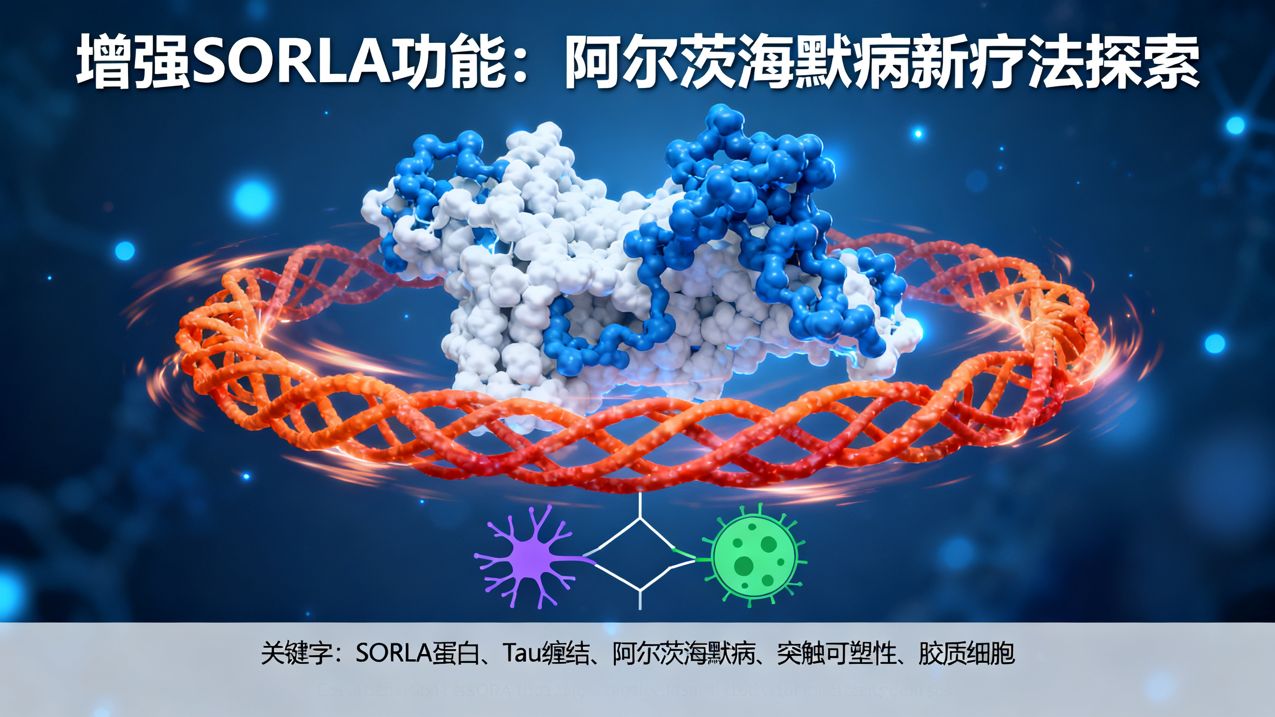 科学家发现一种能保护大脑免受阿尔茨海默病伤害的蛋白质
