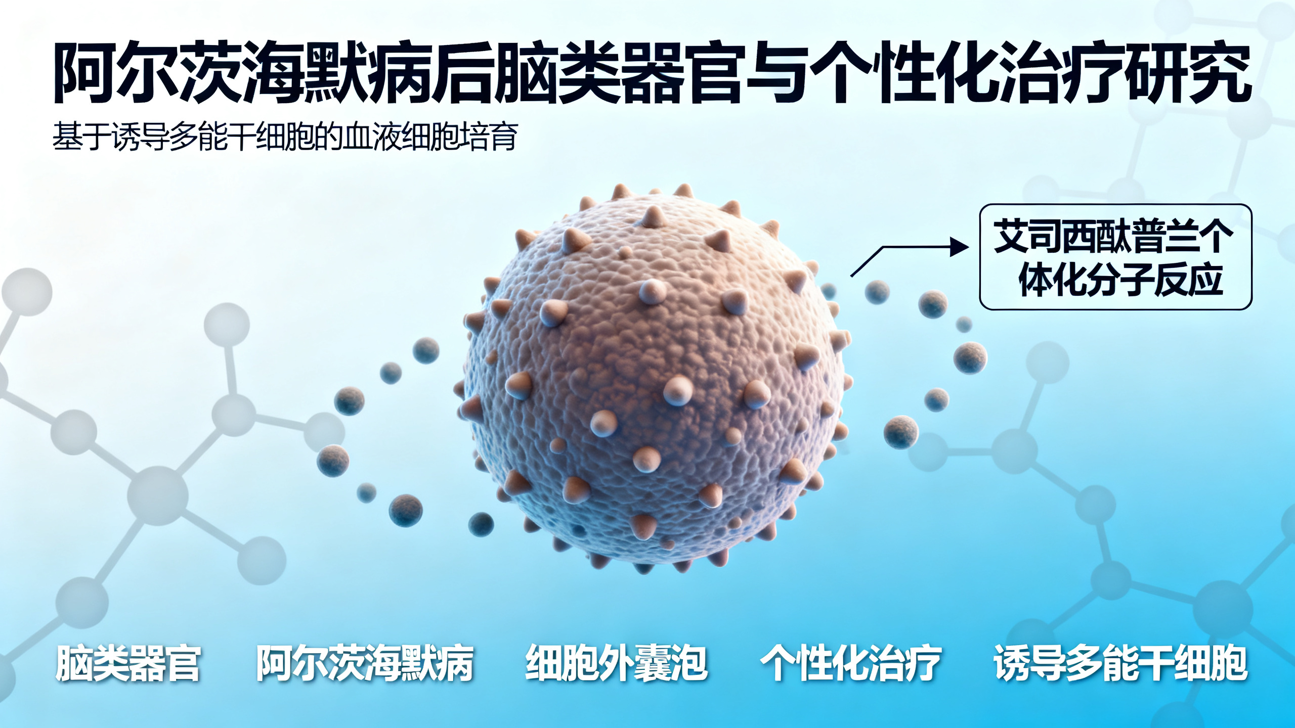 实验室培育的“迷你大脑”或可预测哪种阿尔茨海默病疗法有效
