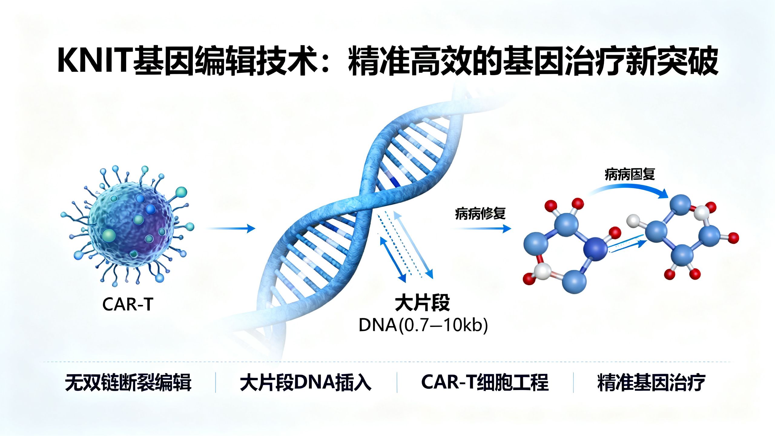 无需切断DNA就能精准插入基因