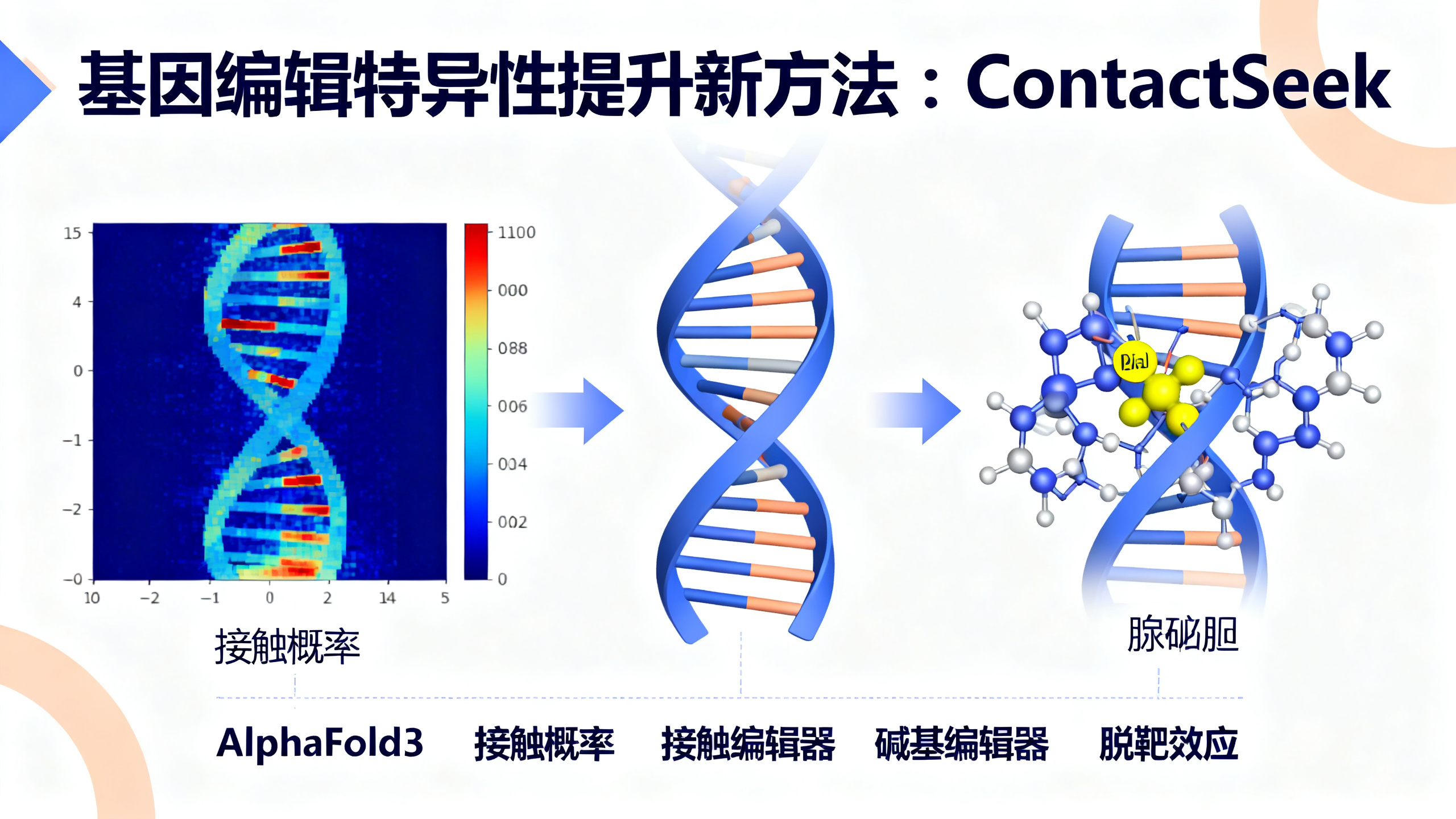 用AI模型精准修改DNA碱基