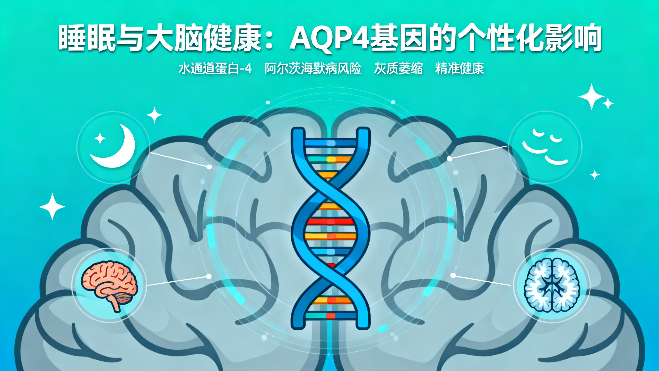 科学家发现：为什么睡眠不足对某些人的大脑伤害更大