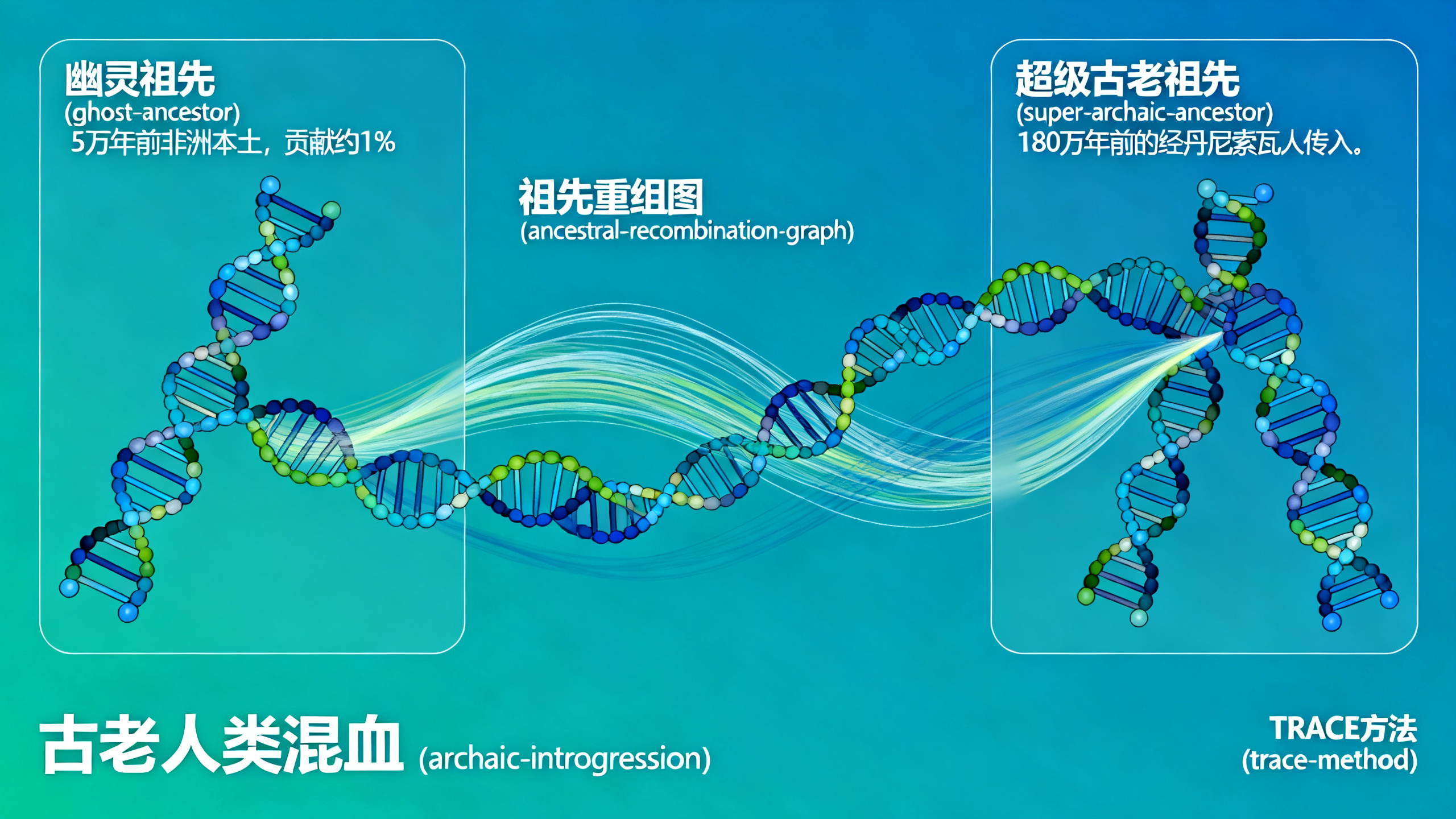 科学家在人类DNA中发现两个神秘的“幽灵”祖先