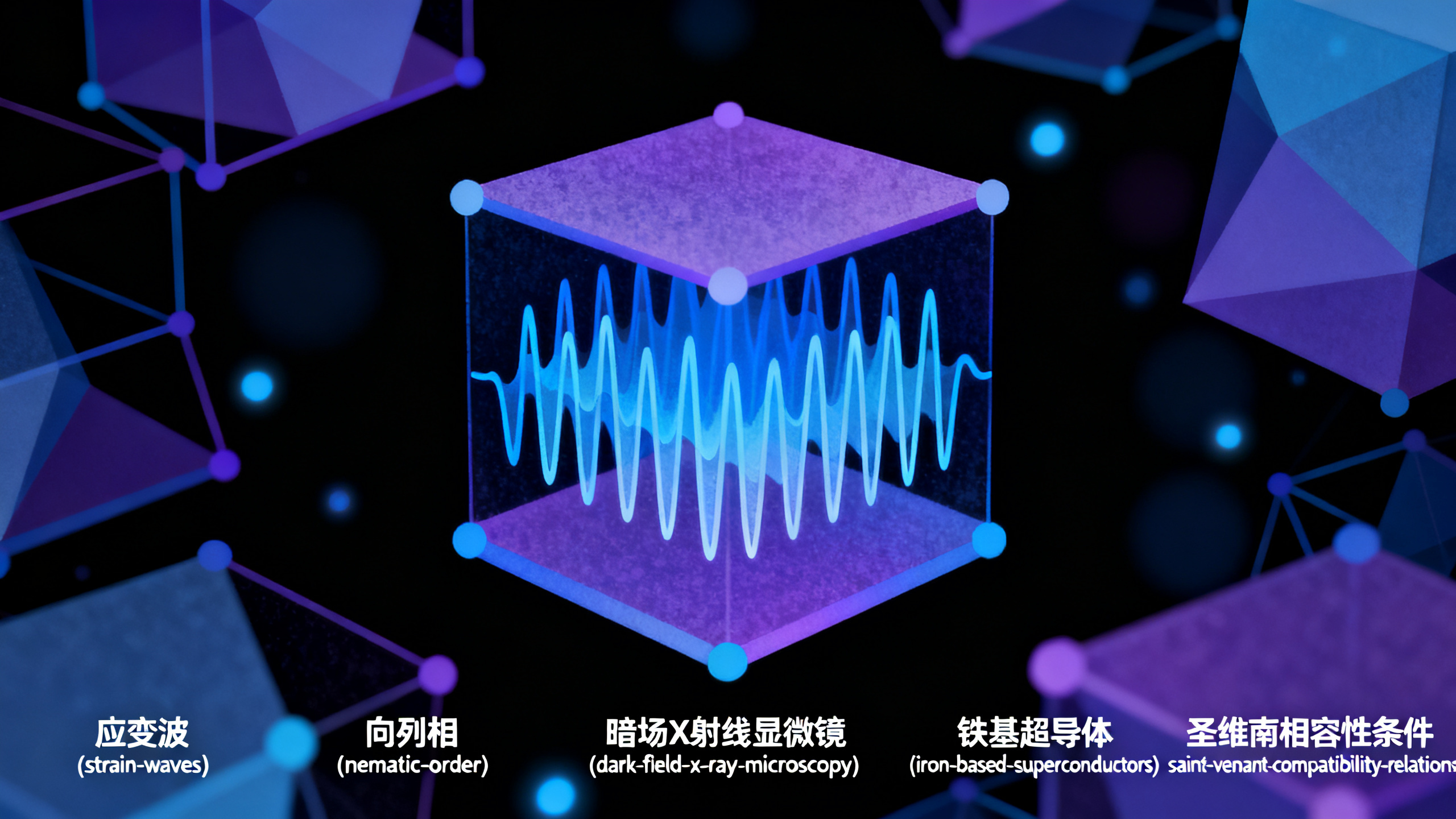 用X光“暗场显微镜”首次拍到液晶区域内部自发产生的微小应力波