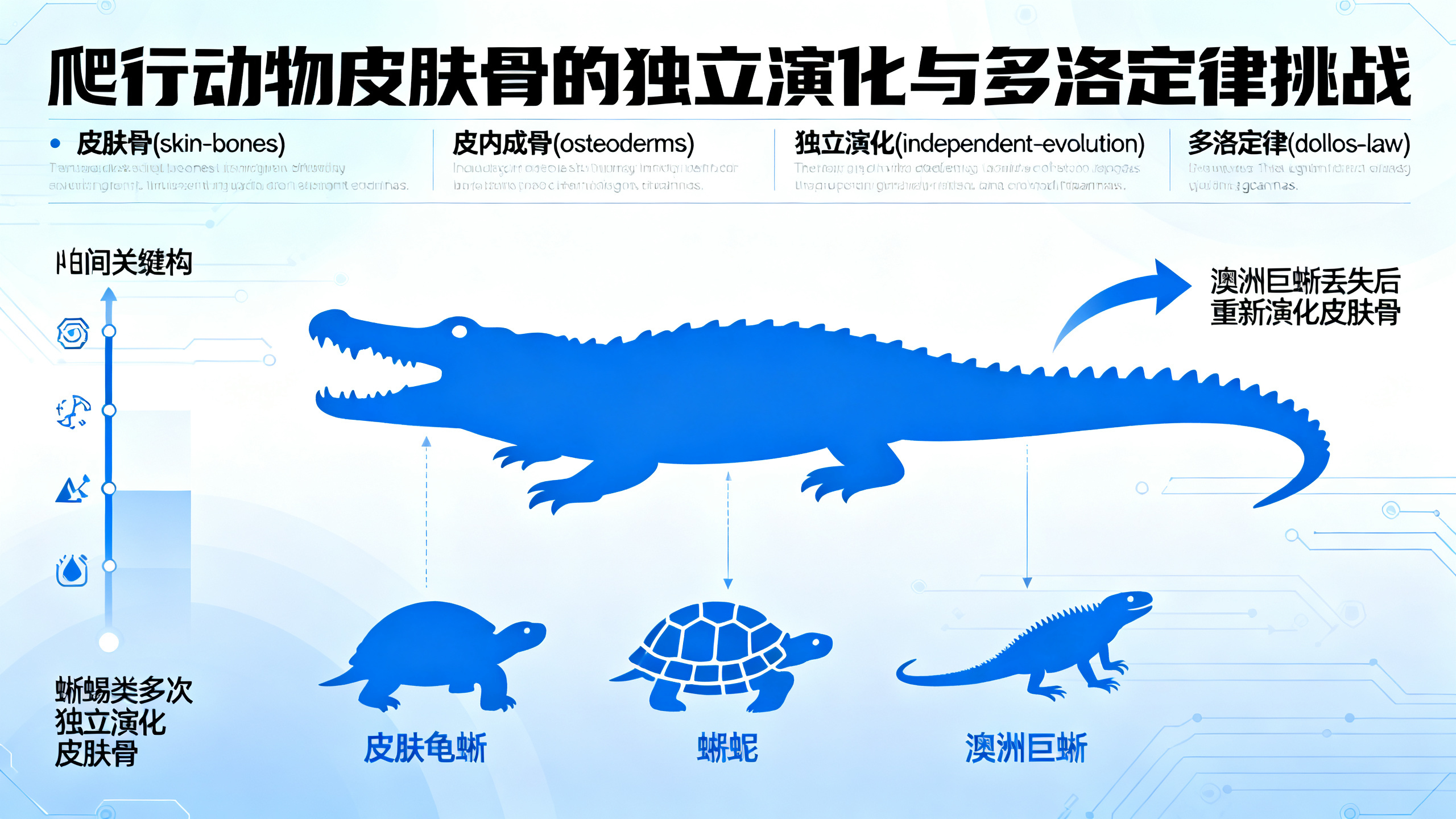 科学家揭开爬行动物骨质铠甲3.2亿年的谜团