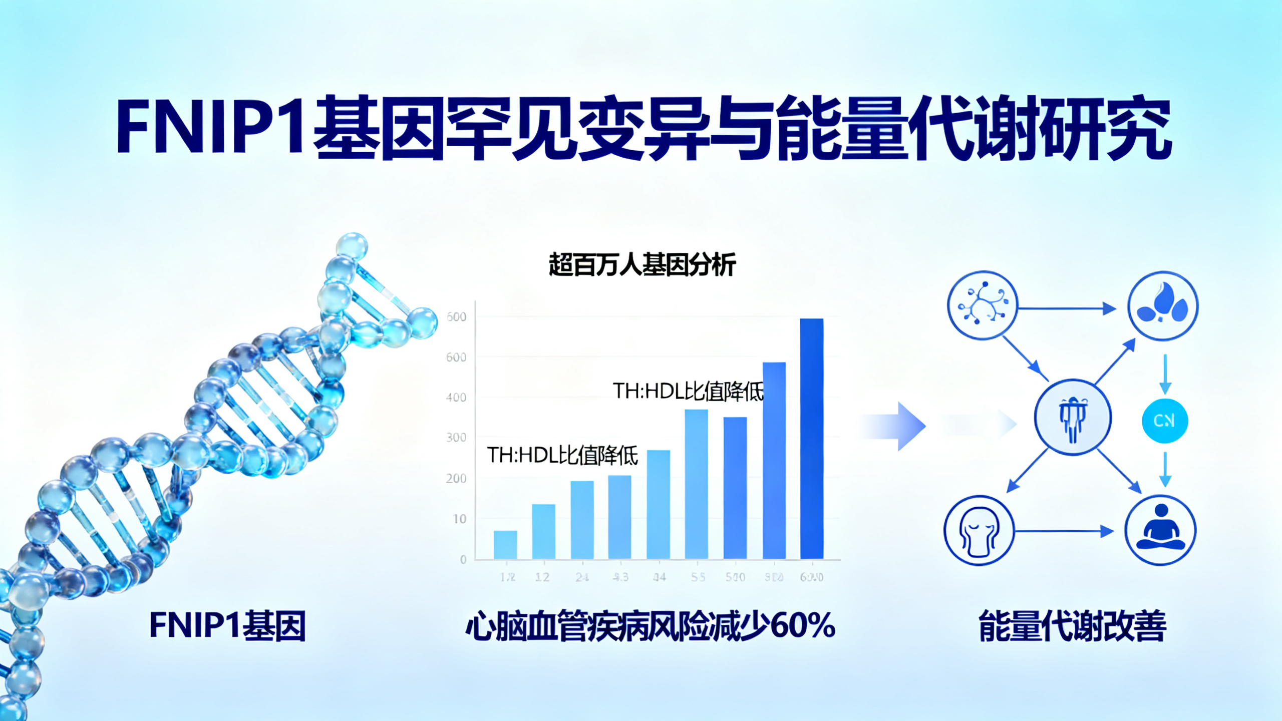 基因FNIP1的变异与百万人的良好代谢状况相关