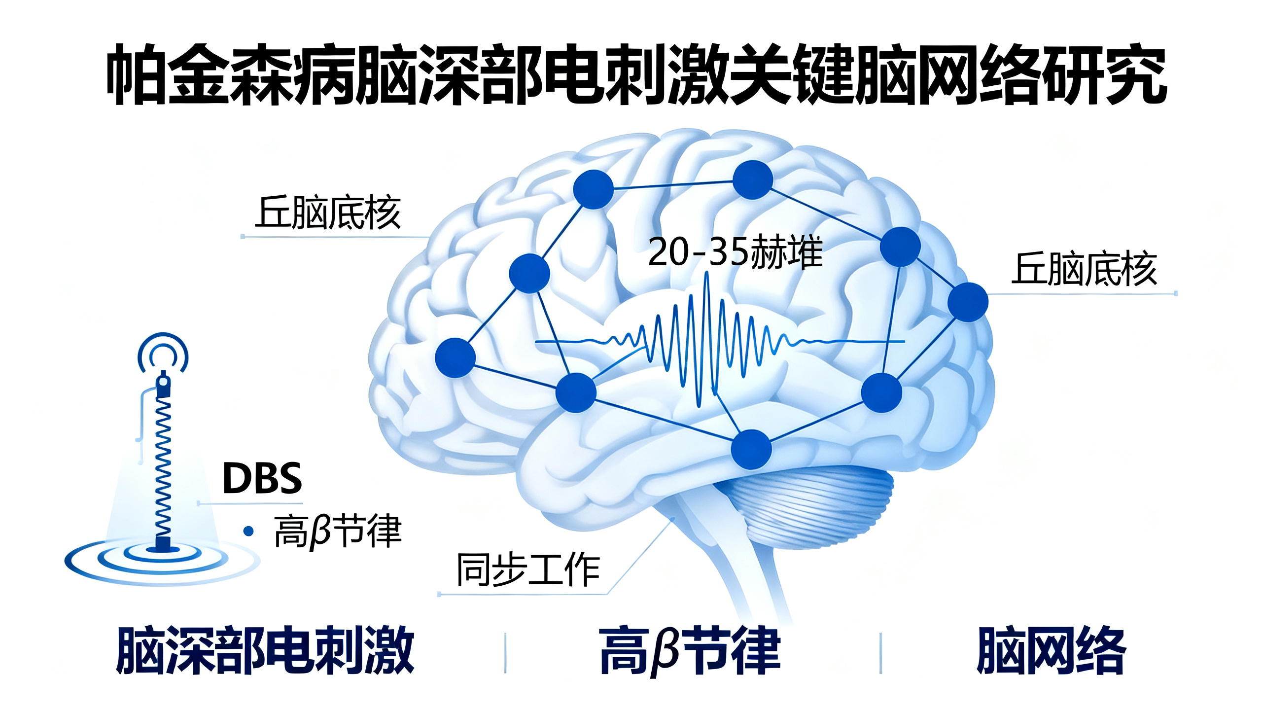 科学家发现一种“隐藏脑节律”，有望改善帕金森病治疗