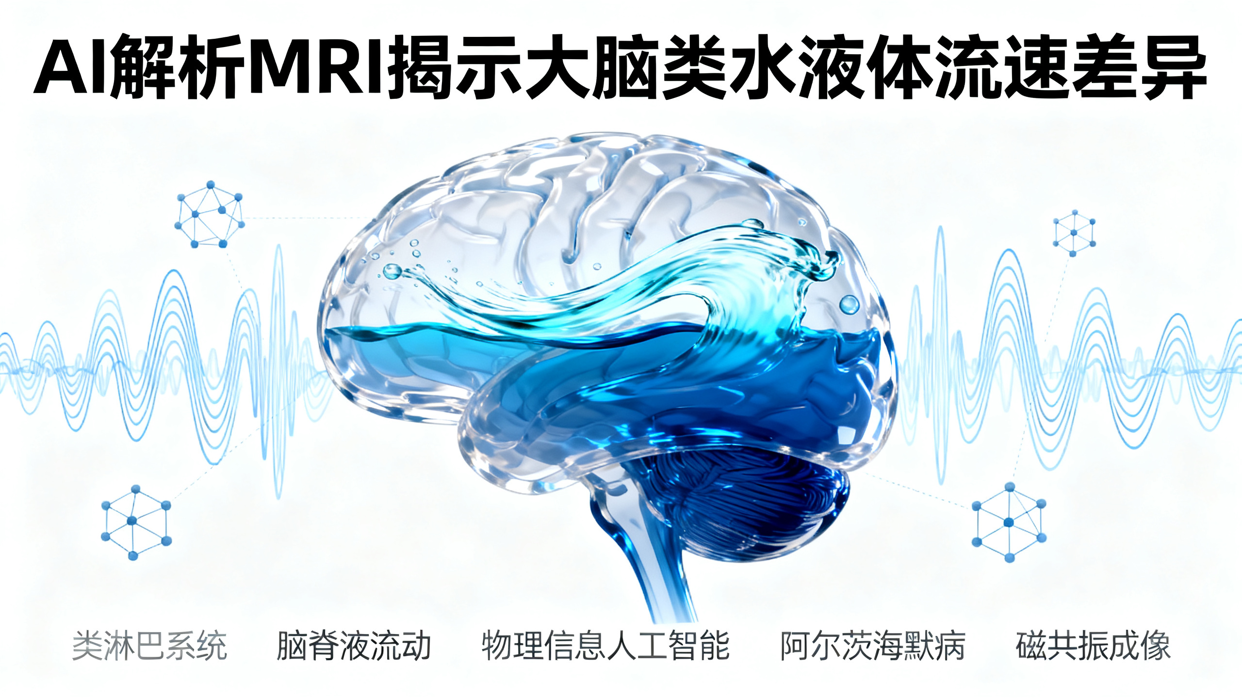 大脑清理垃圾也有“快车道”和“慢车道”