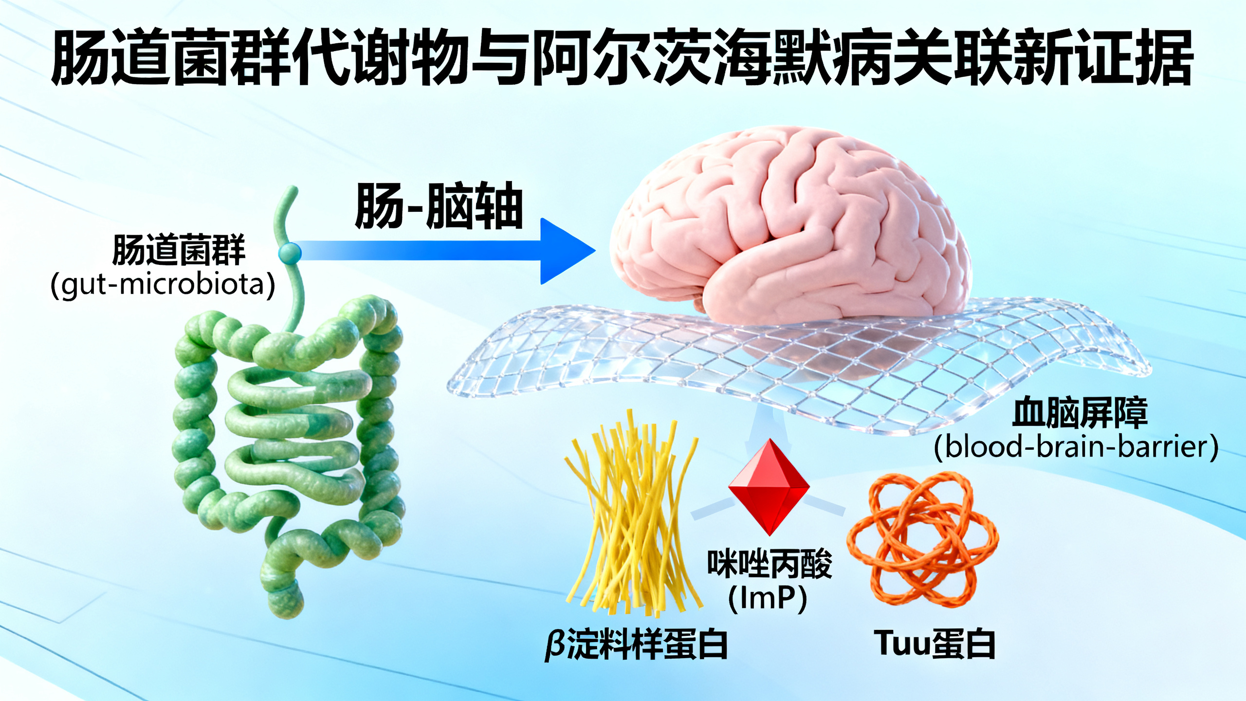 肠道健康与阿尔茨海默病之间发现新关联