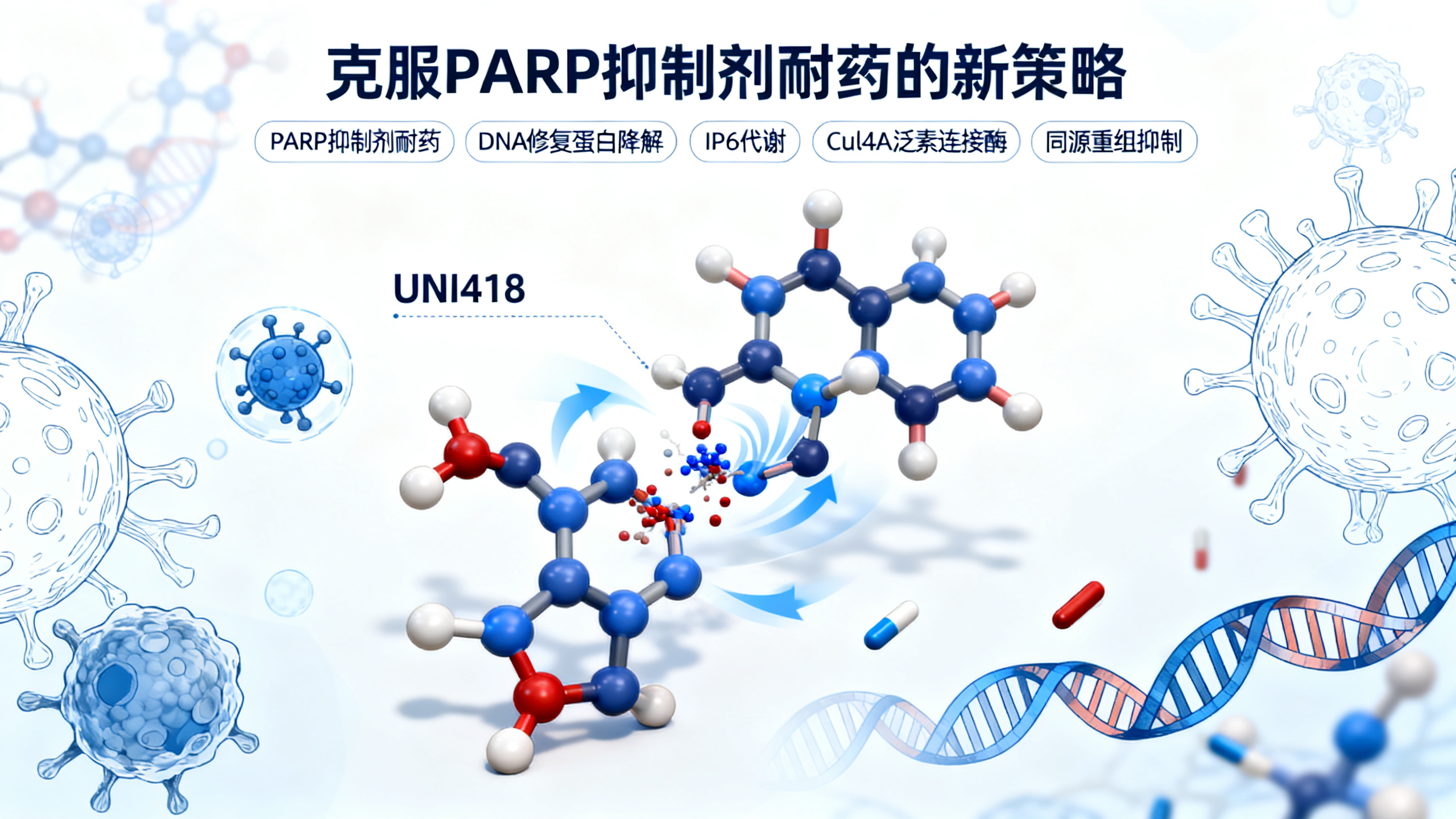 科学家关闭癌细胞的“自我修复”功能，破解抗癌药耐药难题