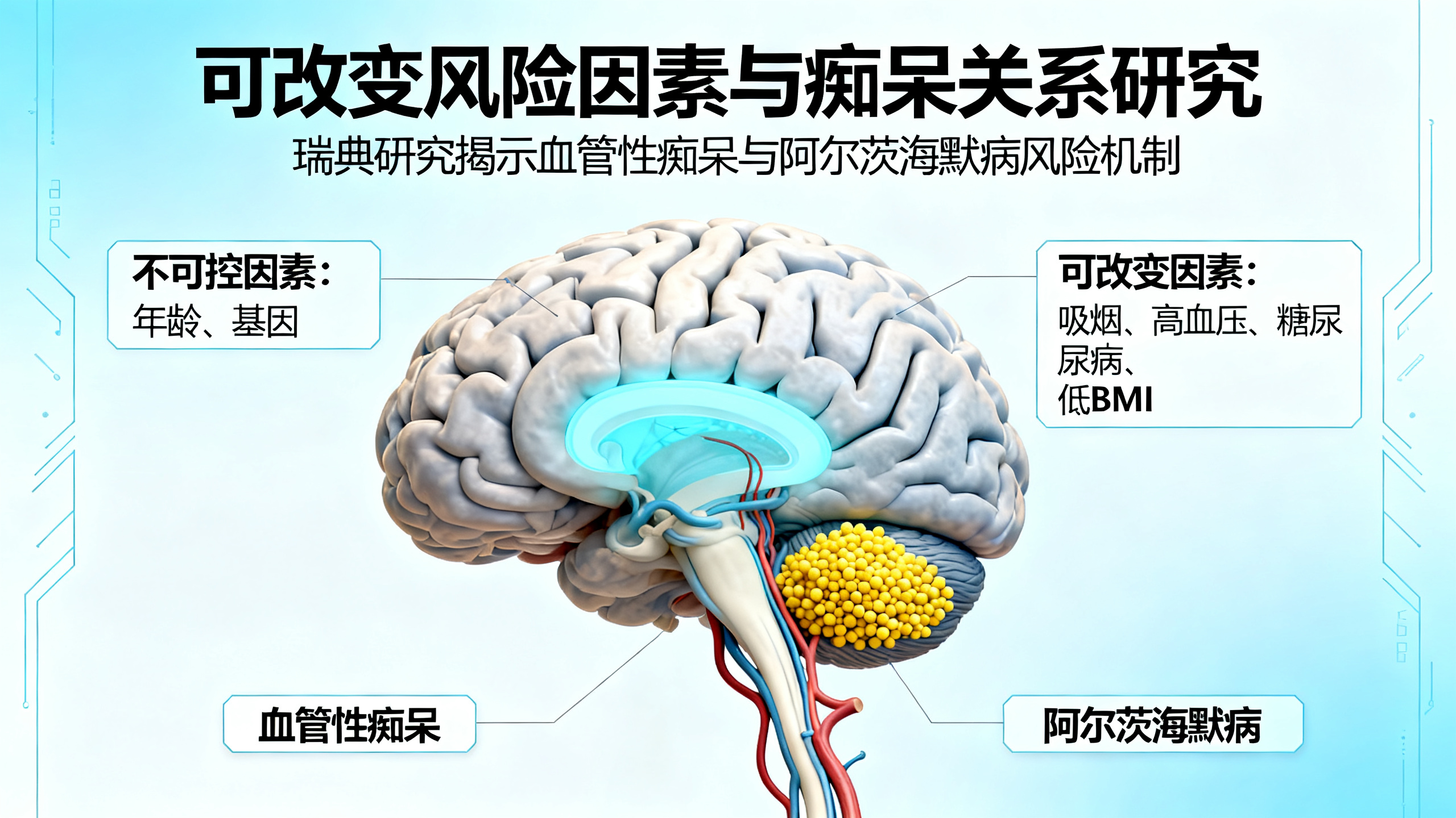近半数痴呆症可能与可改变的风险因素有关