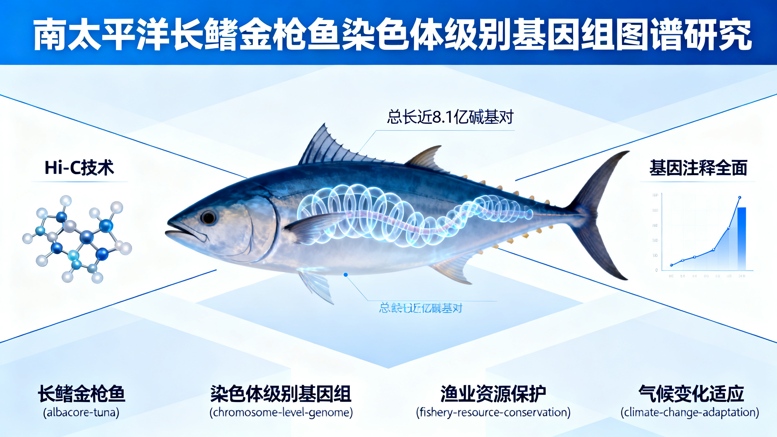 南太平洋金枪鱼（大眼金枪鱼）的完整基因组图谱