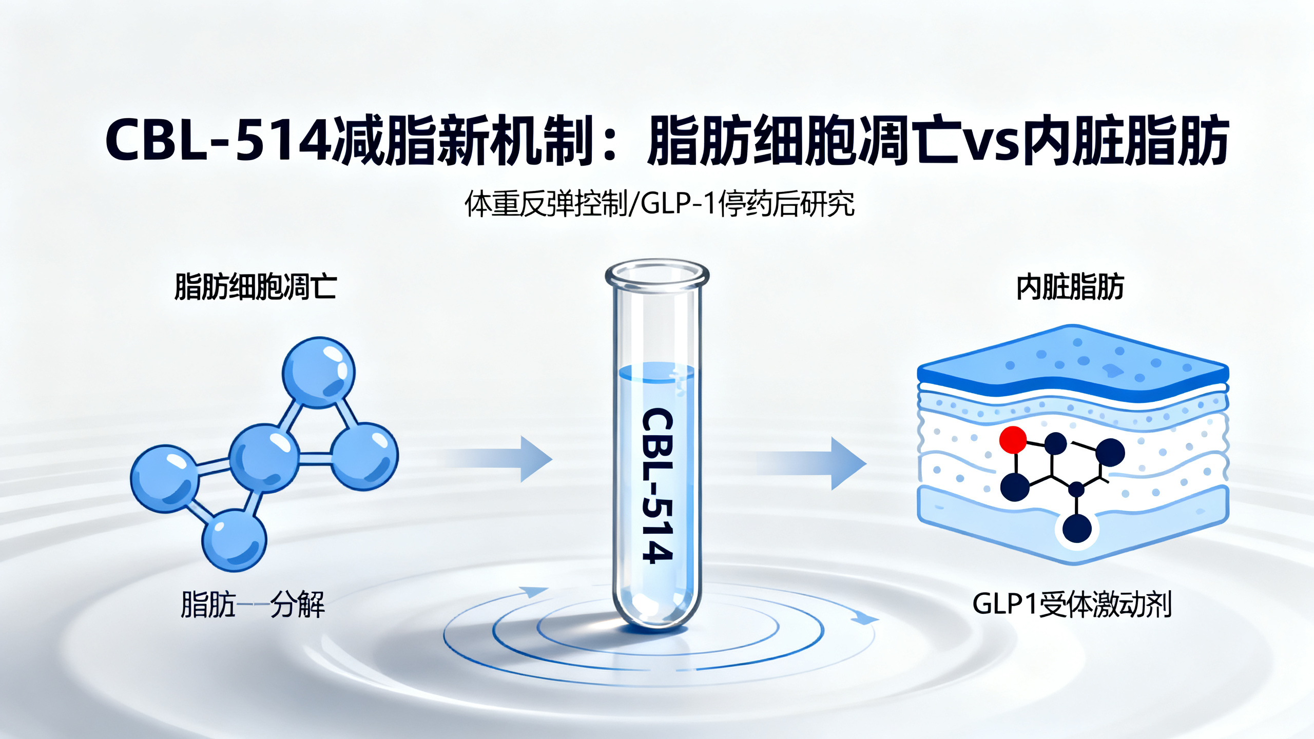 新注射疗法让脂肪细胞“自我摧毁”