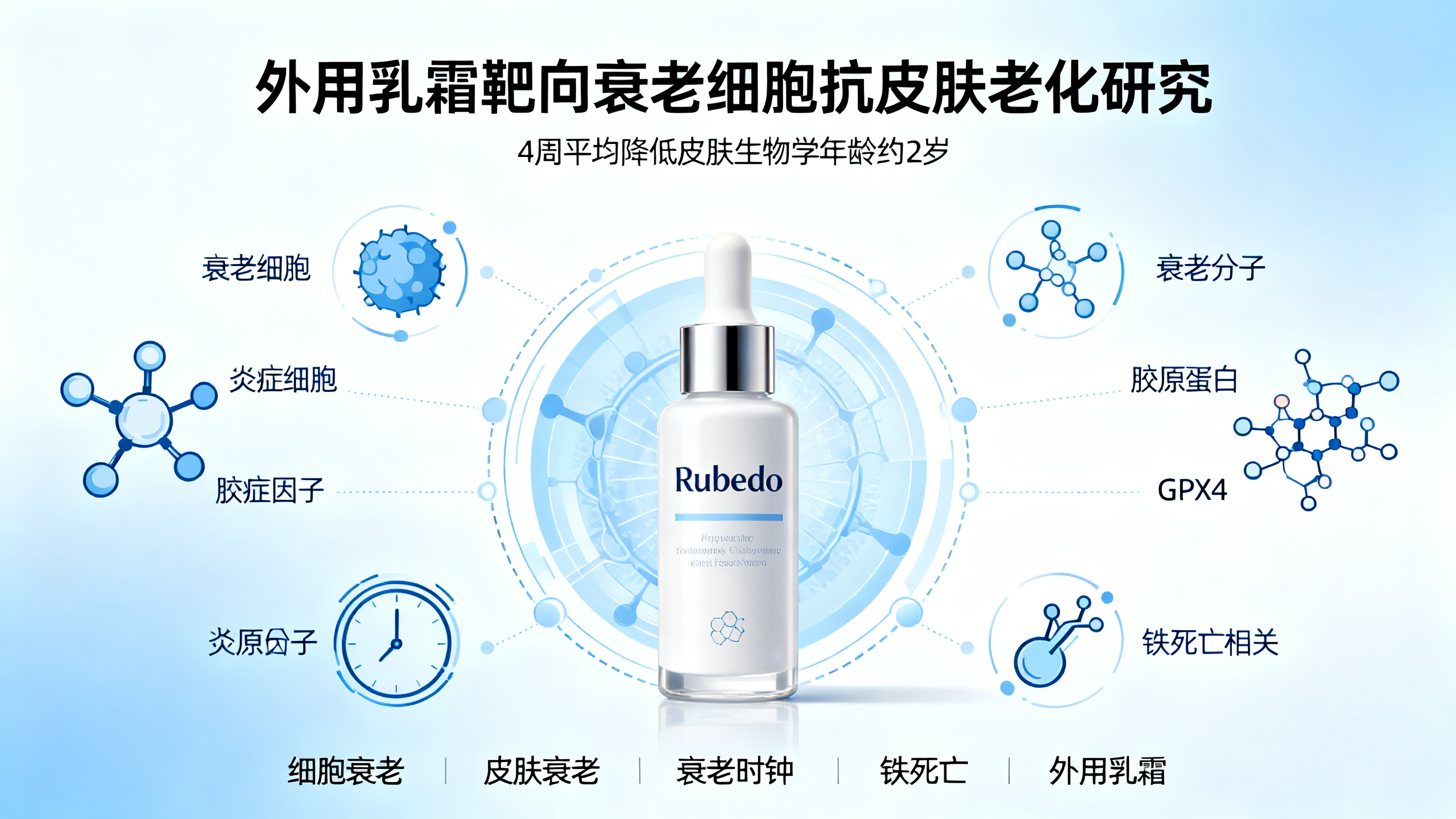 一种新型抗衰老药，有望让皮肤“逆龄”